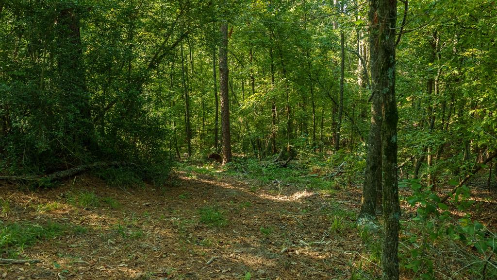 Tbd C R 354 Property Photo 25