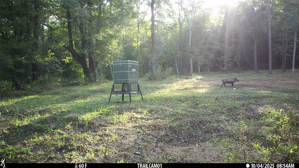 Tbd C R 354 Property Photo 34