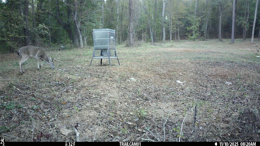 Tbd C R 354 Property Photo 39