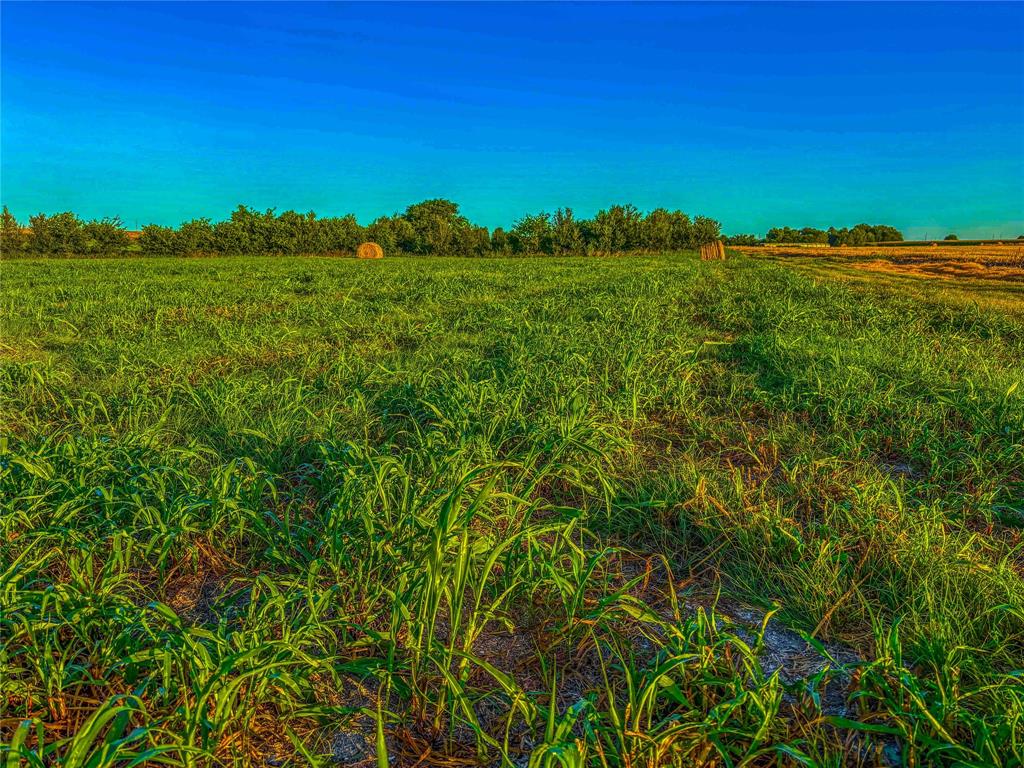 Unk Unk Property Photo 16