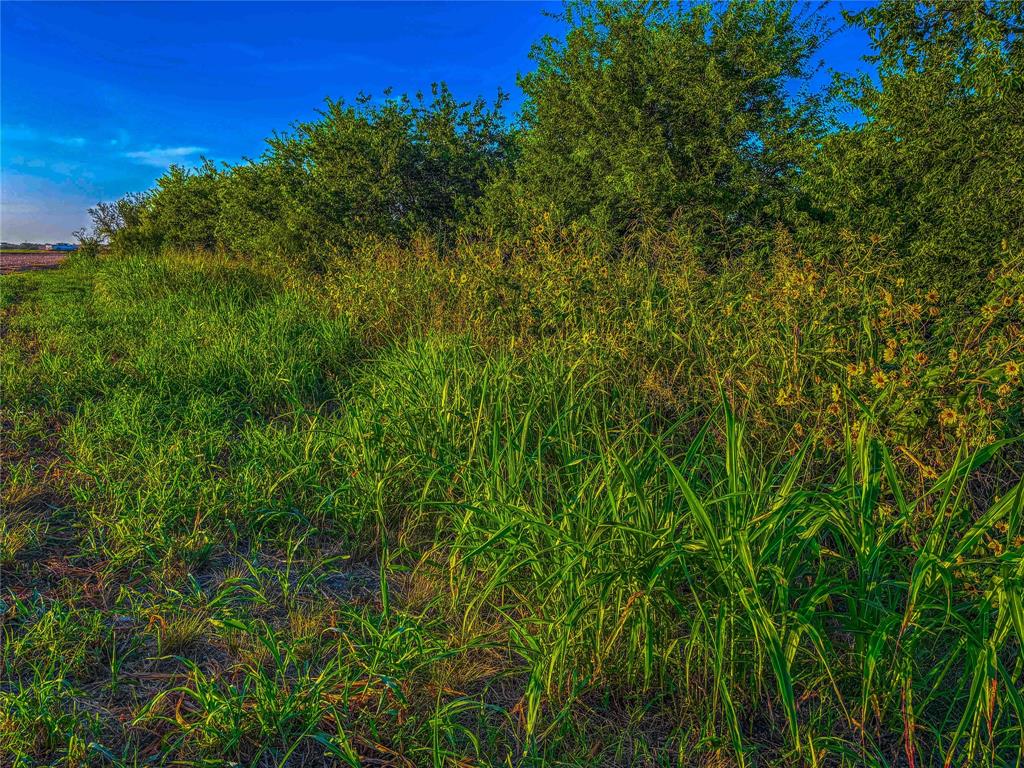 Unk Unk Property Photo 18