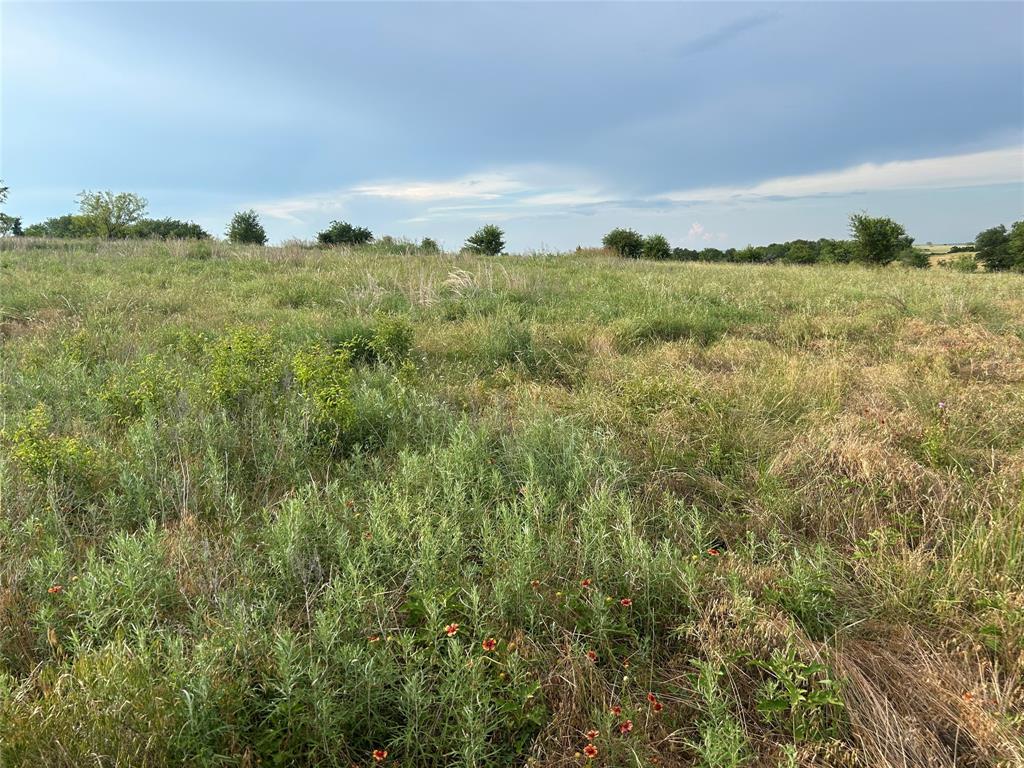 4045 Mirielle Drive Property Photo 2