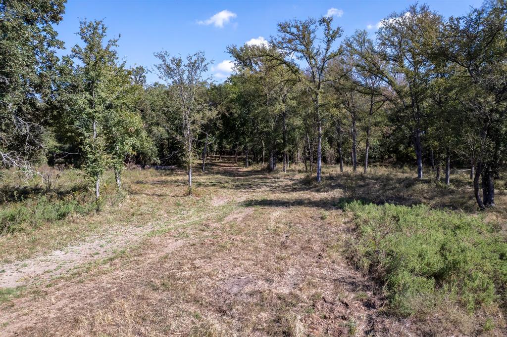342 Tatanka Trail Property Photo 19