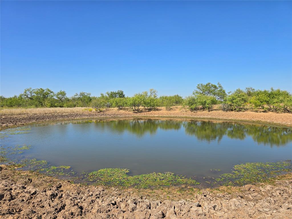 Tbd Cr 498 Property Photo 1