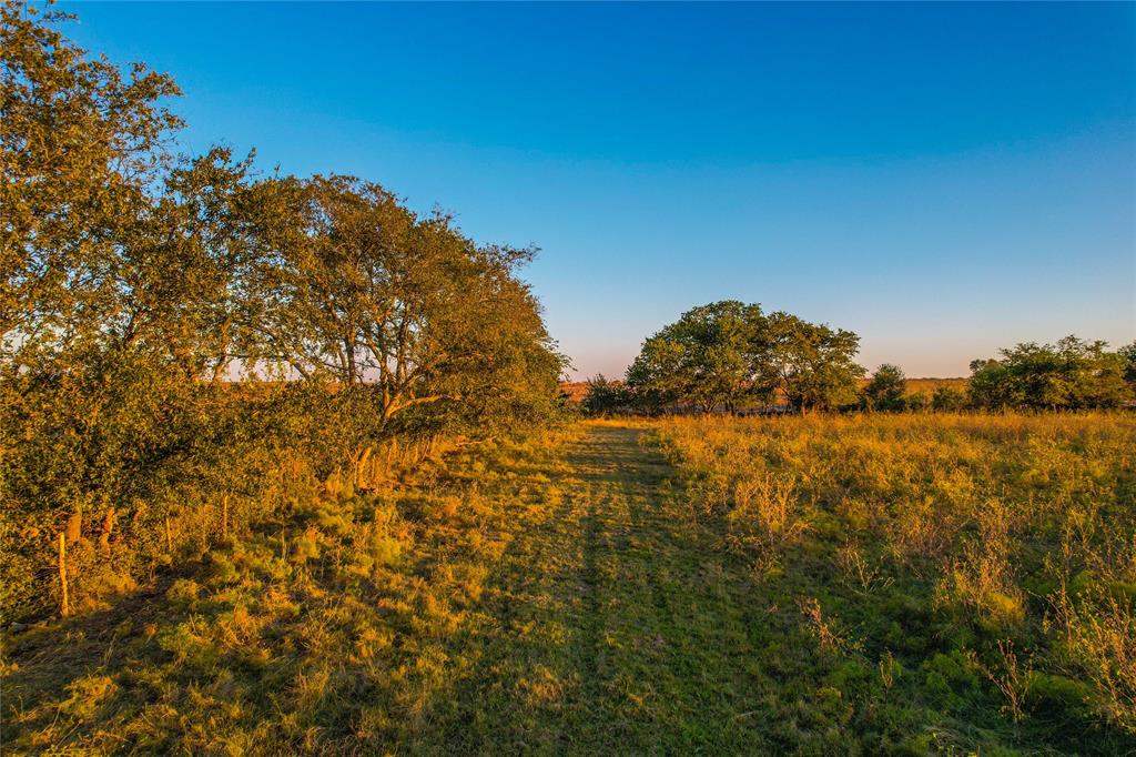 515 County Road 262 Property Photo 12