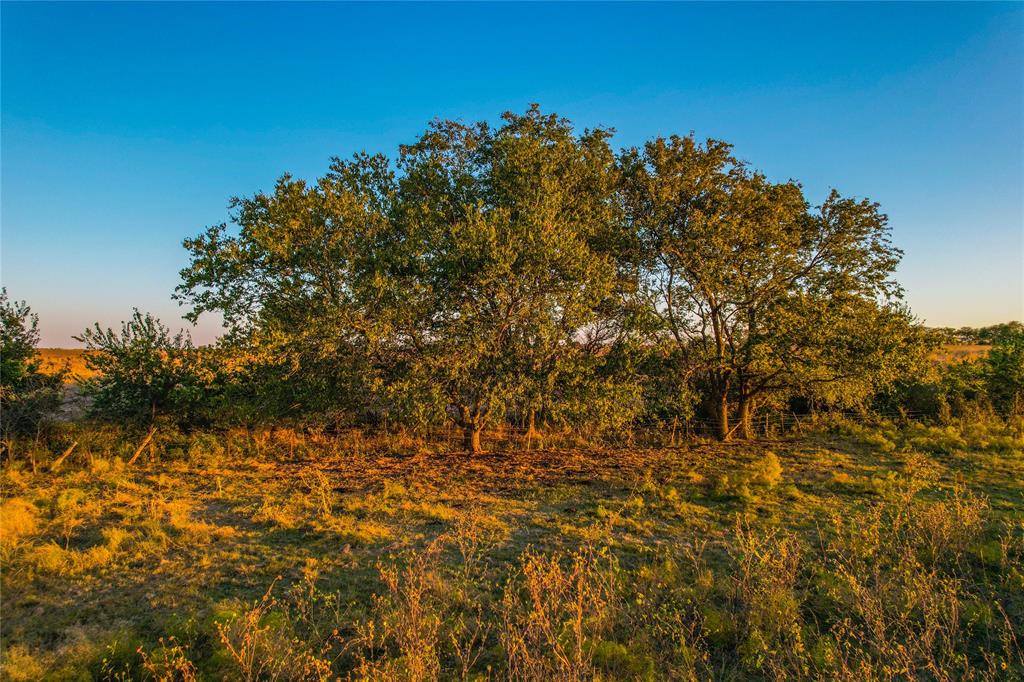 515 County Road 262 Property Photo 18