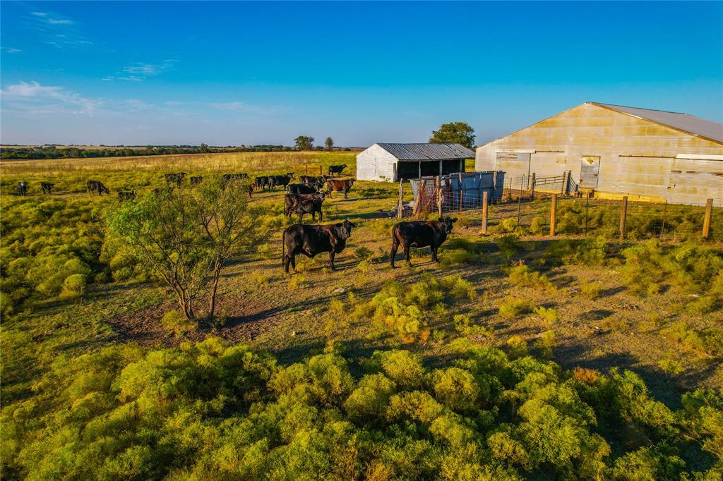 515 County Road 262 Property Photo 34
