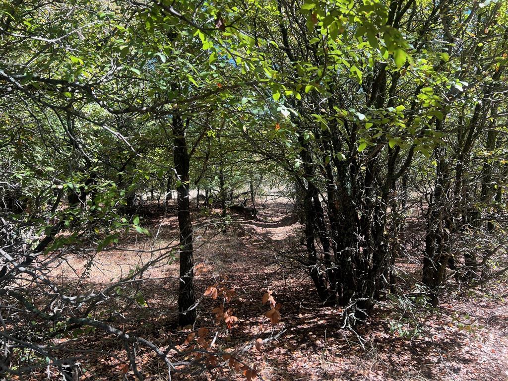 Tbd Uselton Road Property Photo 4