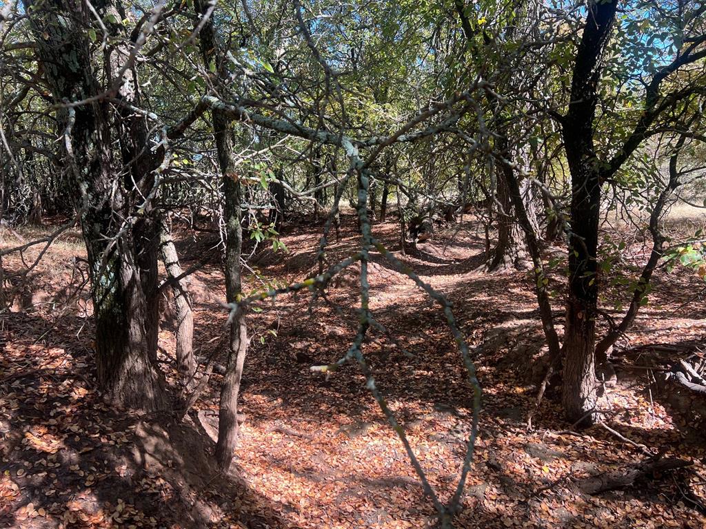 Tbd Uselton Road Property Photo 5