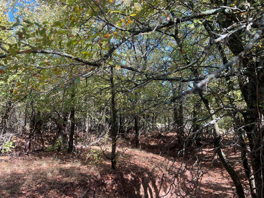 Tbd Uselton Road Property Photo 6