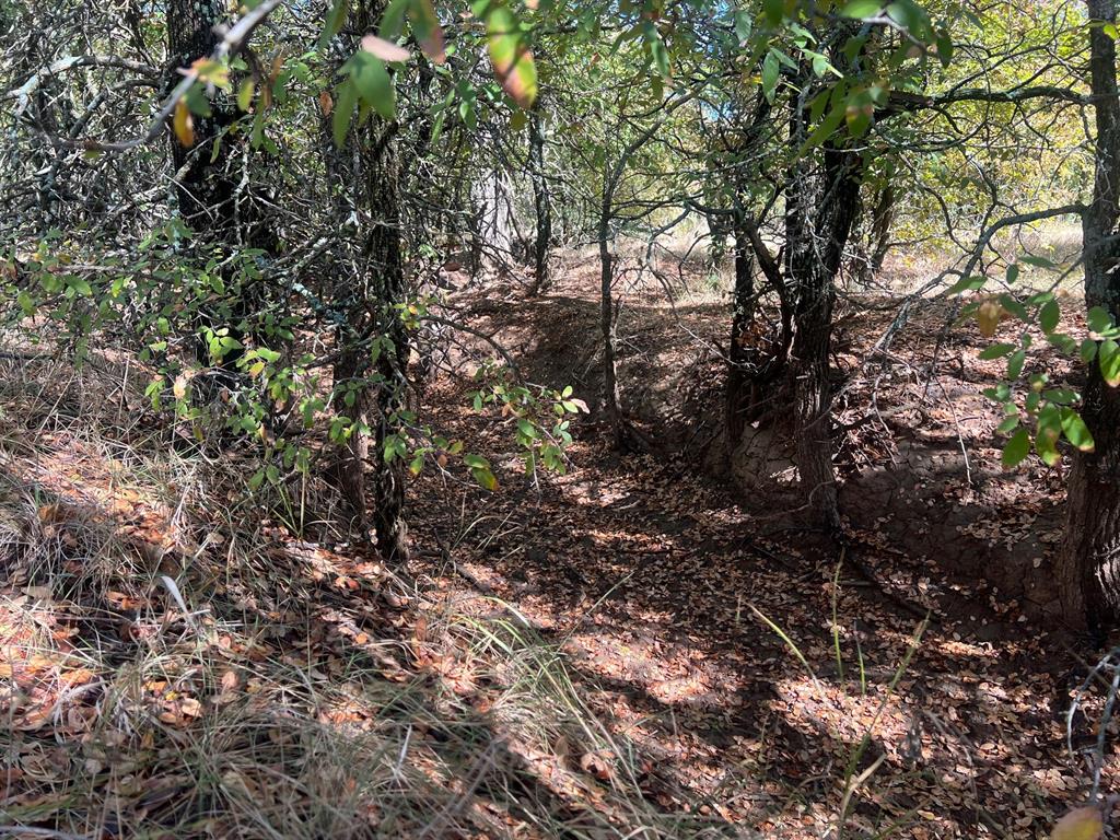 Tbd Uselton Road Property Photo 7