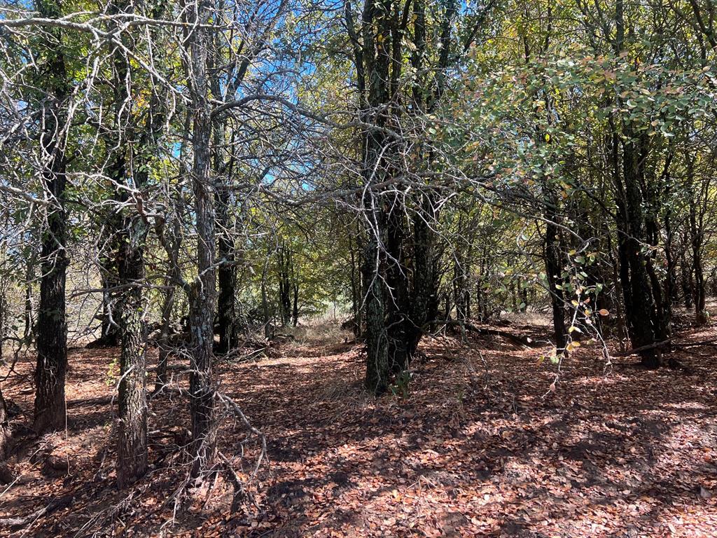 Tbd Uselton Road Property Photo 12