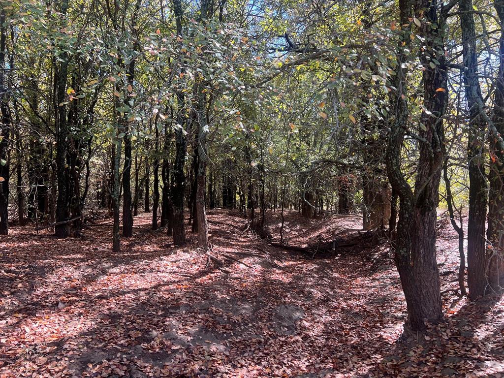 Tbd Uselton Road Property Photo 13