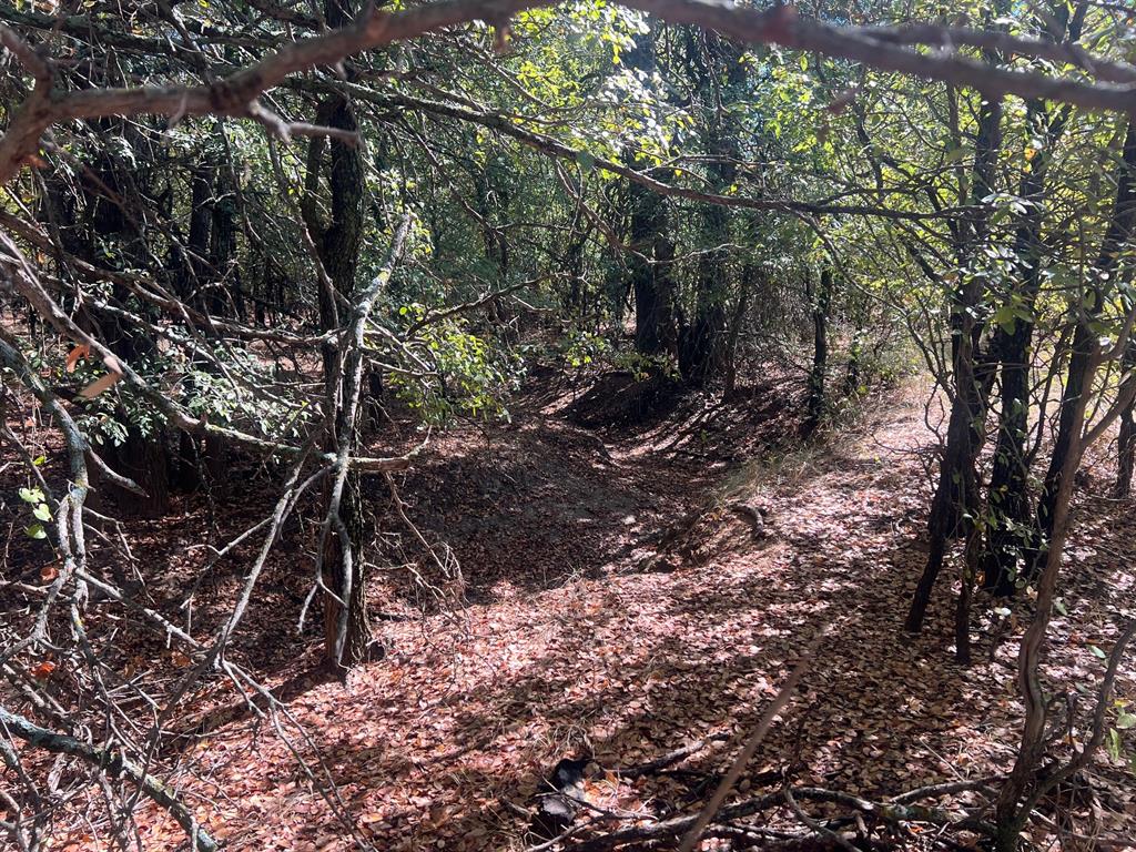 Tbd Uselton Road Property Photo 14