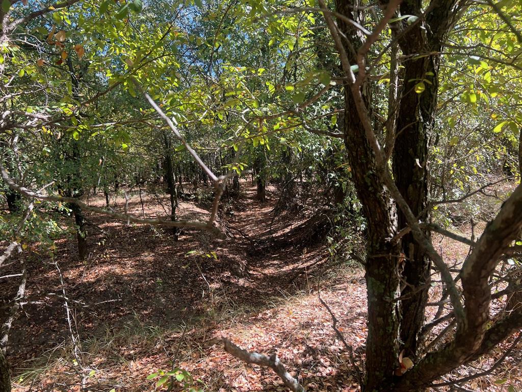 Tbd Uselton Road Property Photo 19