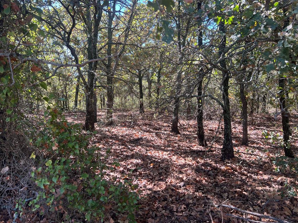 Tbd Uselton Road Property Photo 21