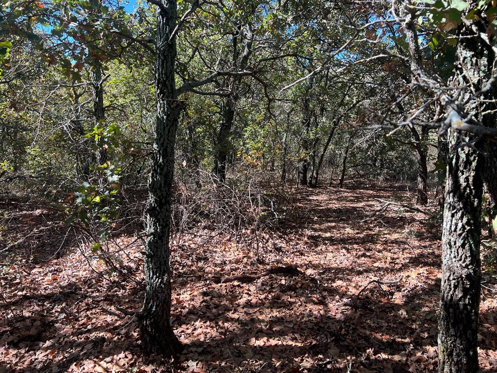 Tbd Uselton Road Property Photo 22
