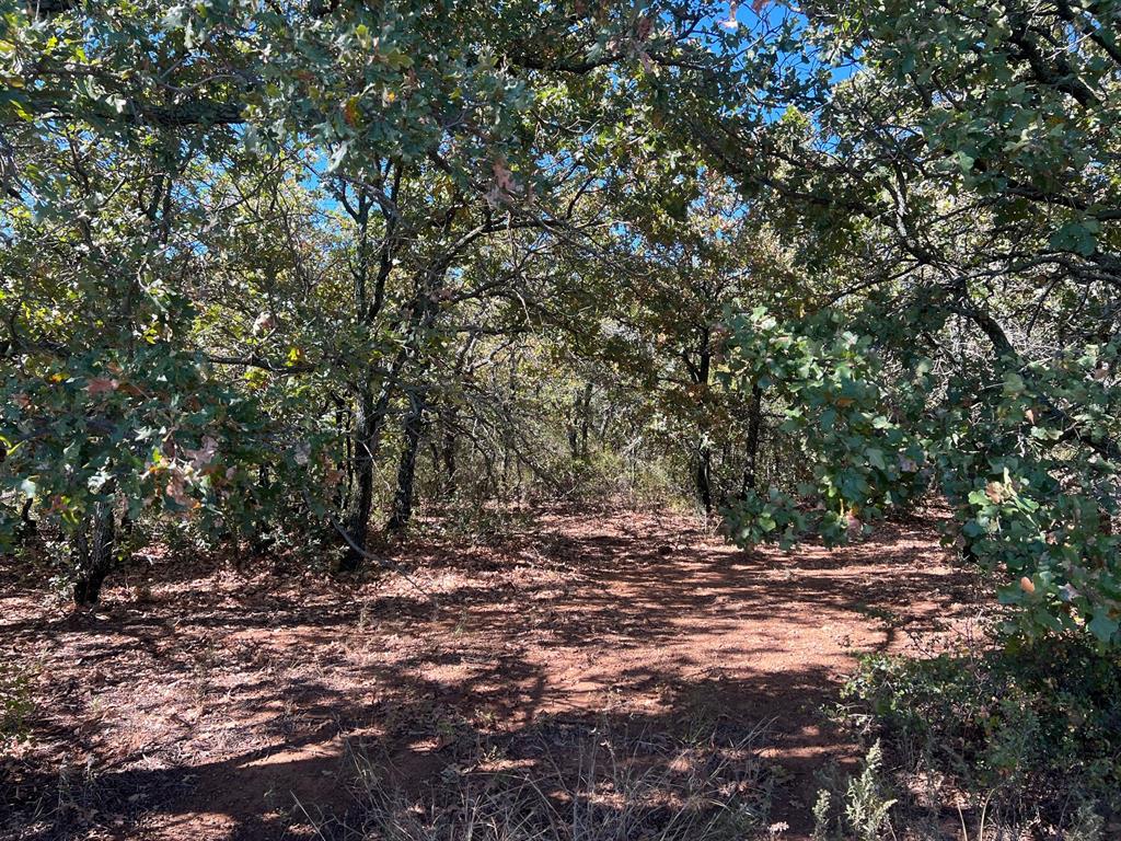 Tbd Uselton Road Property Photo 23