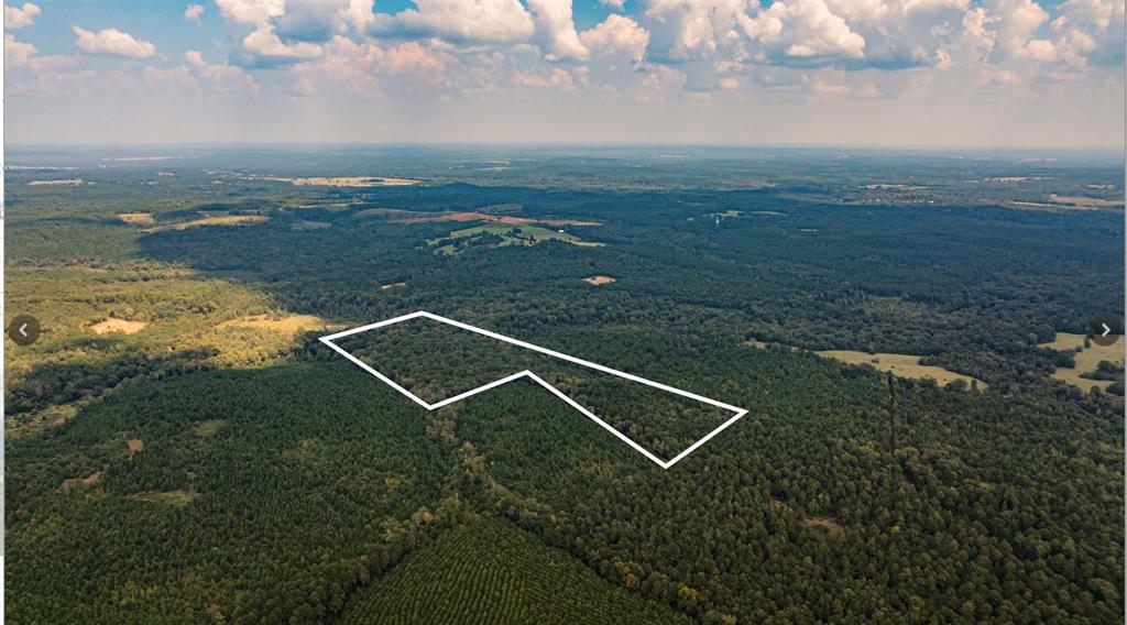 Tbd County Road 1582 Property Photo 1