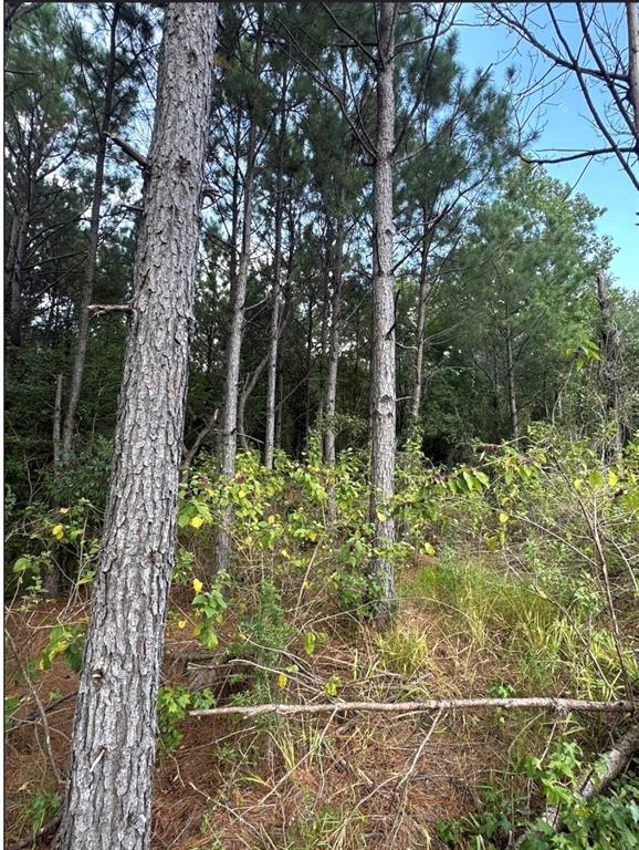 Tbd County Road 1582 Property Photo 5