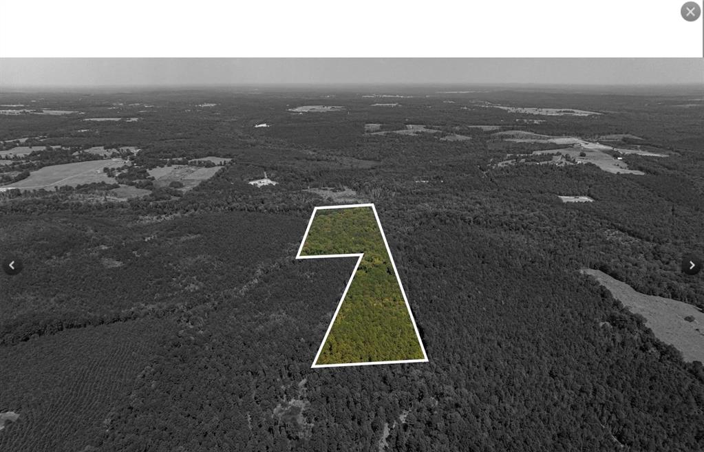 Tbd County Road 1582 Property Photo 7