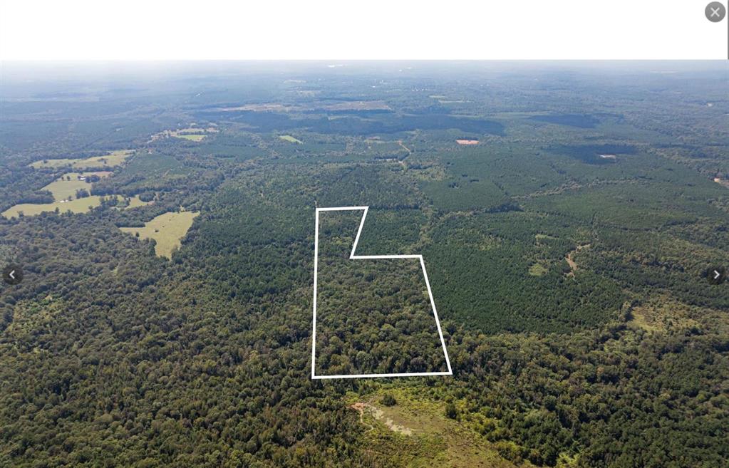 Tbd County Road 1582 Property Photo 8
