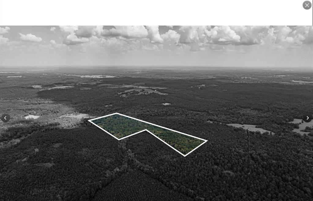 Tbd County Road 1582 Property Photo 9