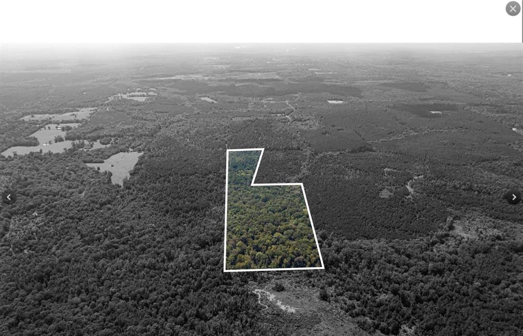 Tbd County Road 1582 Property Photo 10