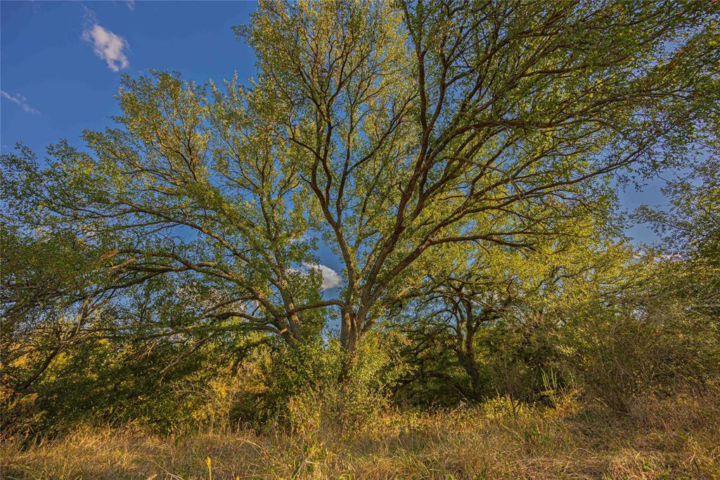10579 Private Road 3151 Property Photo 13