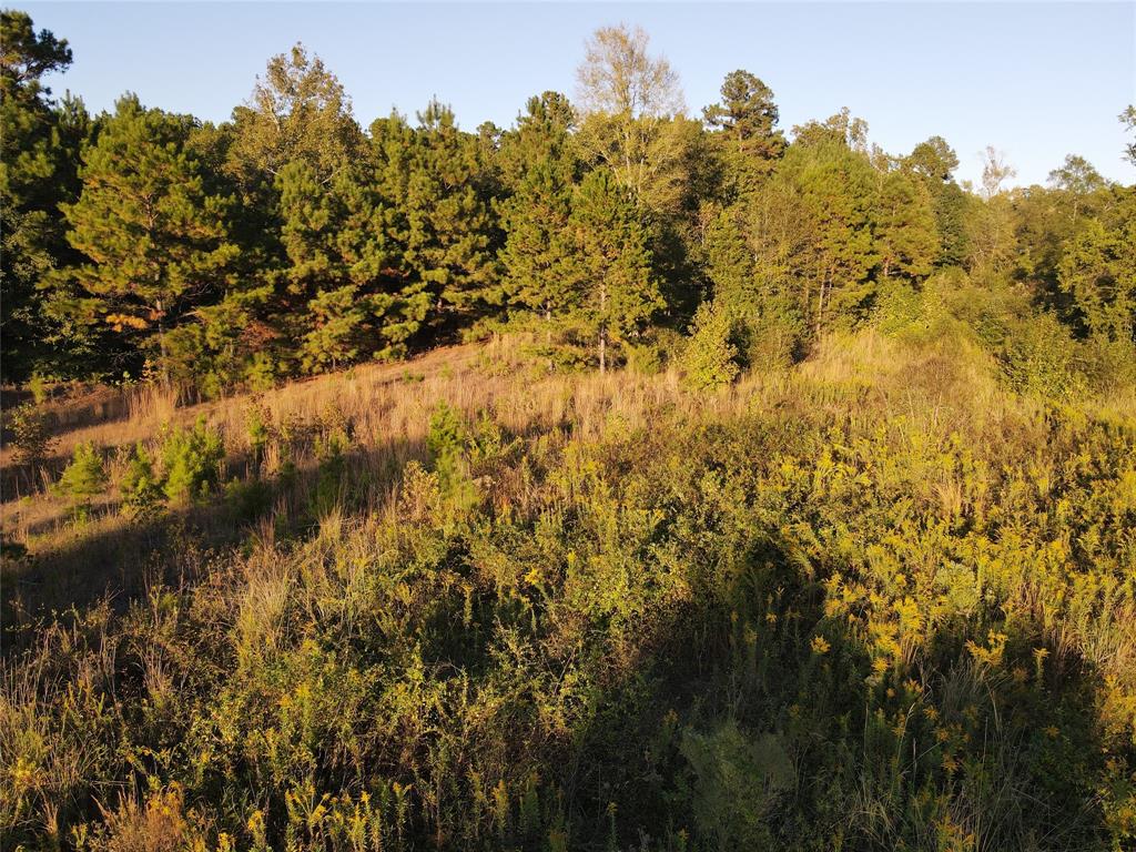 Tract 42 31 Highway Property Photo 6