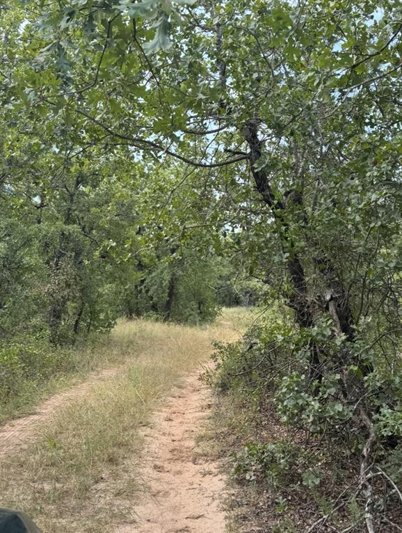 Tbd Cr 3540 Property Photo 14
