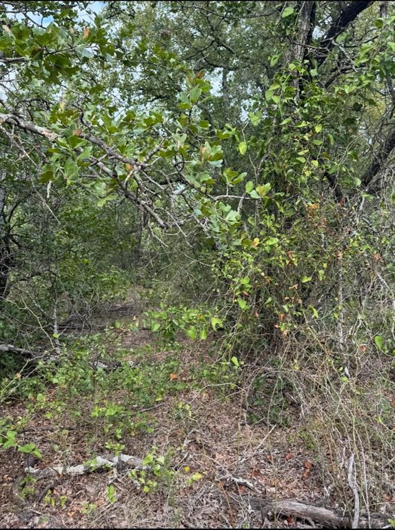 Tbd Cr 3540 Property Photo 15