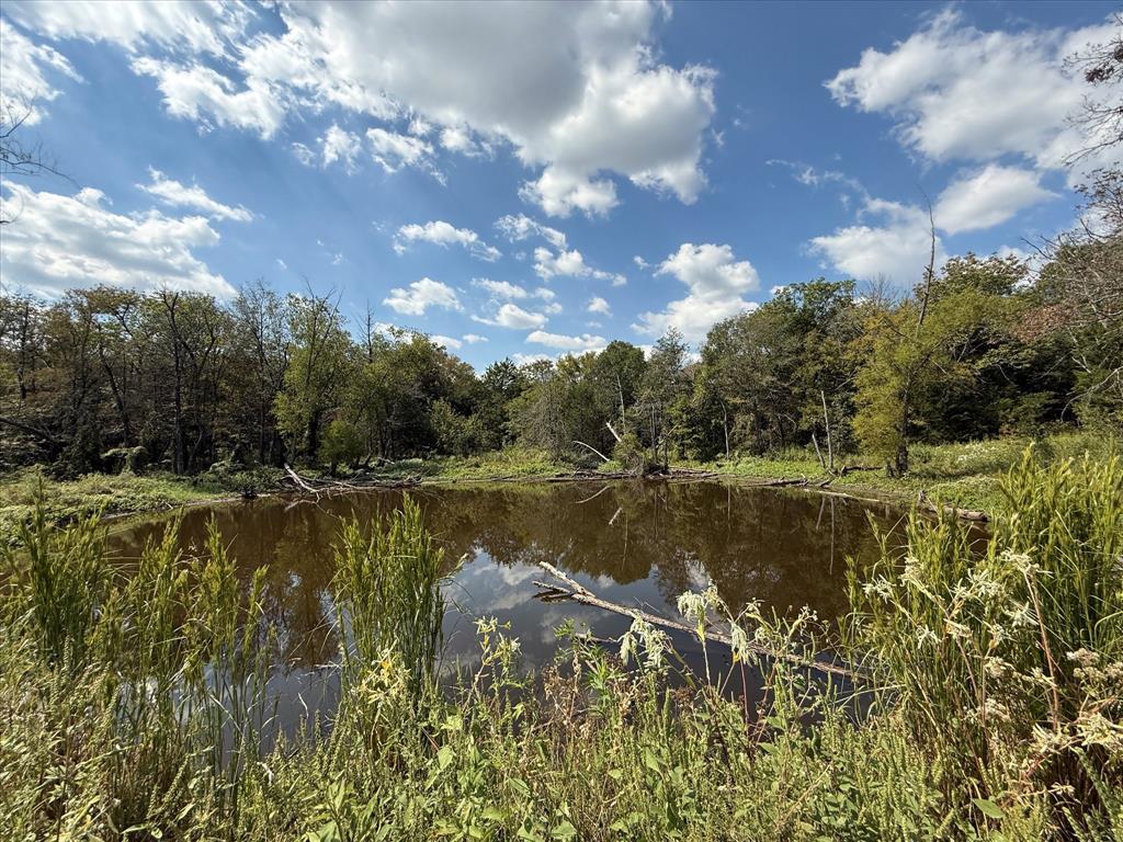 16043 County Road-339 Property Photo 1