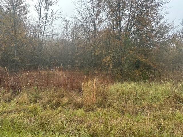 527 Tahiti Lane Property Photo 1