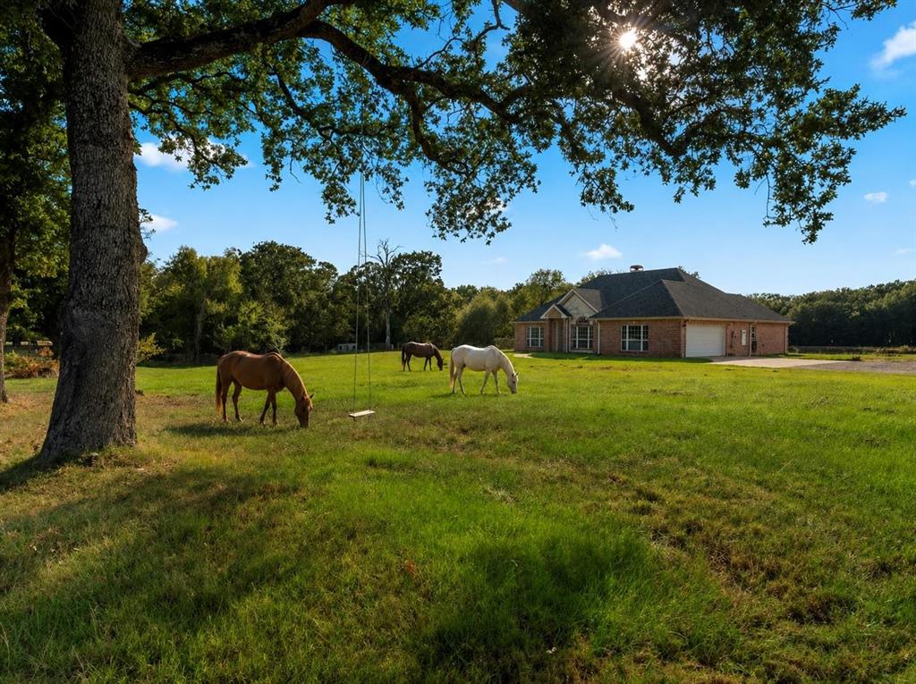 14856 Fm 59 Property Photo 2
