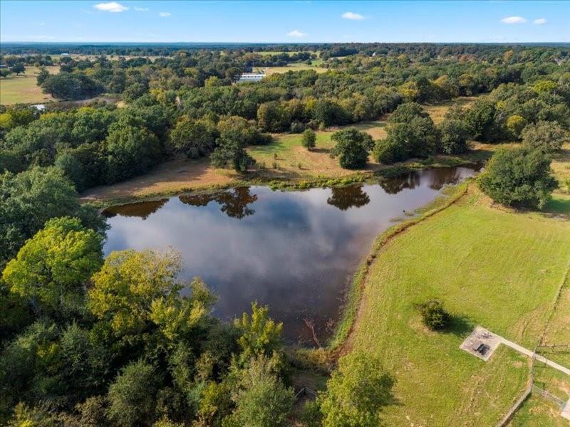 14856 Fm 59 Property Photo 6