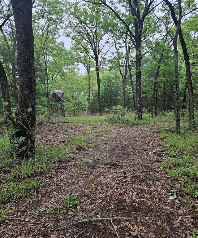 01 Private 5401 Road Property Photo 2