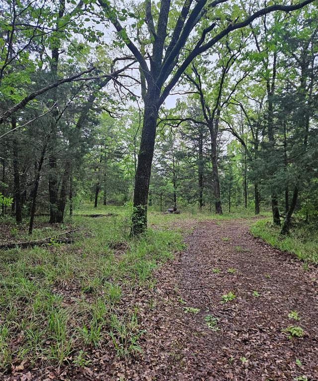 01 Private 5401 Road Property Photo 3