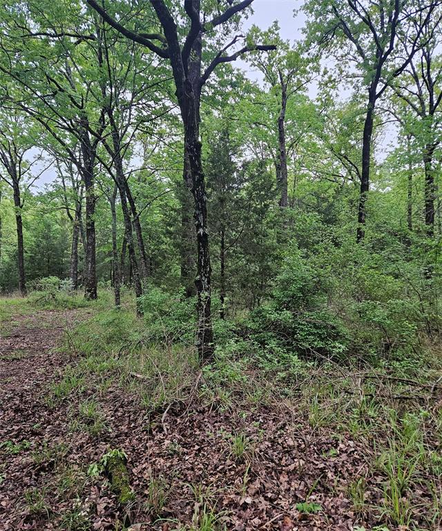 01 Private 5401 Road Property Photo 5