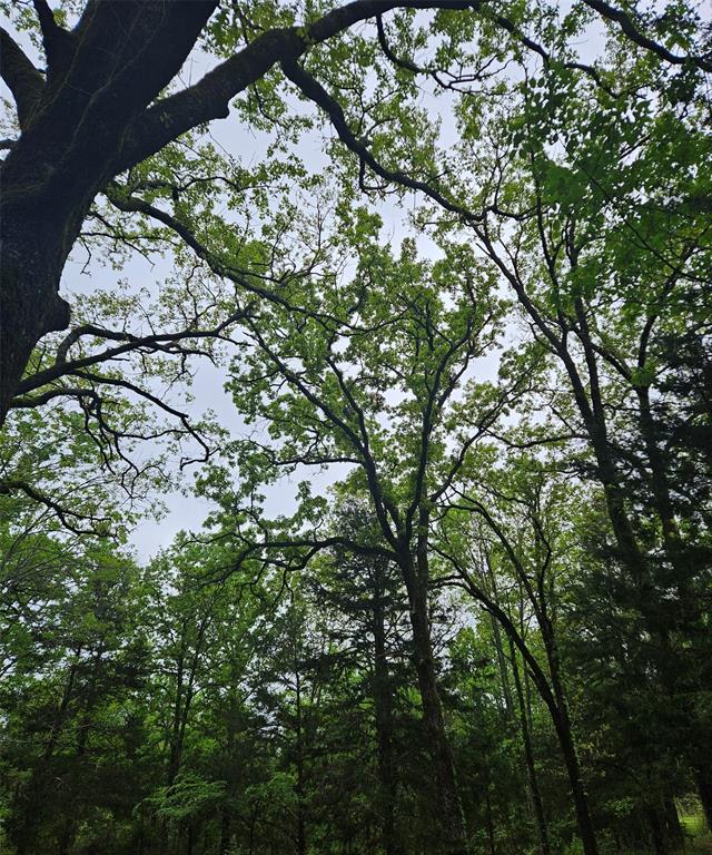 01 Private 5401 Road Property Photo 6