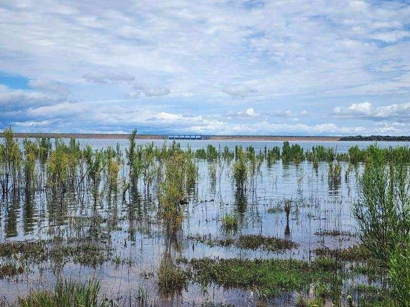 20101 Private Road 4901 Road 4901 Property Photo 2