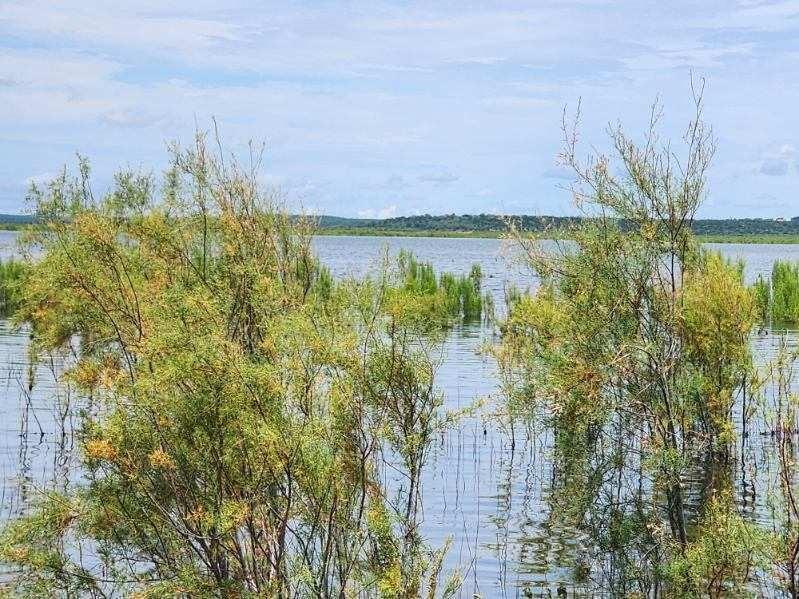 20101 Private Road 4901 Road 4901 Property Photo 8