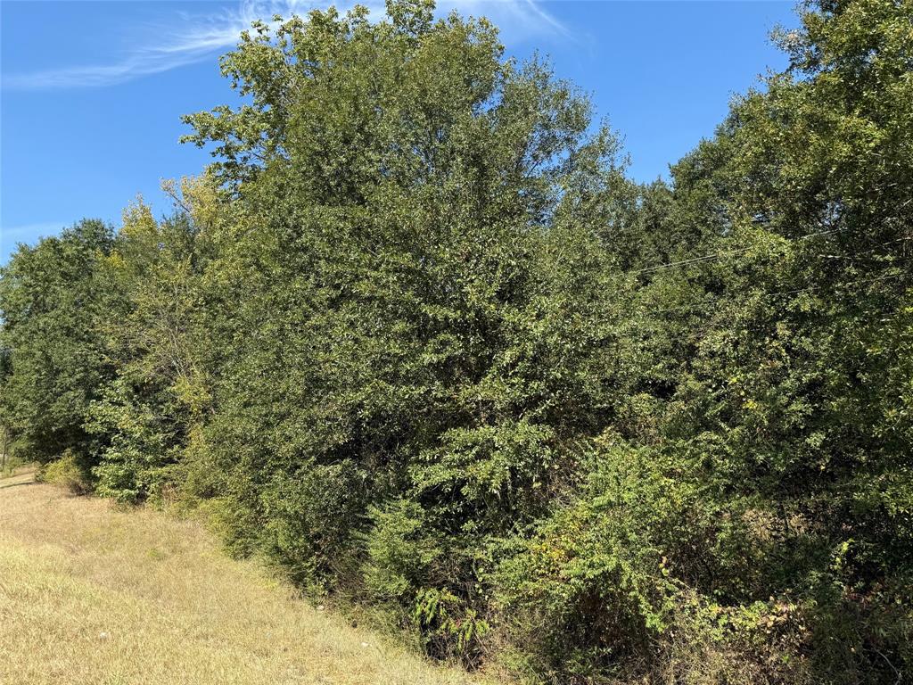 Tbd E Us Highway 80 Property Photo 3