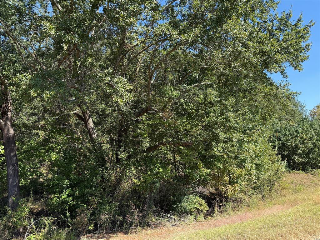 Tbd E Us Highway 80 Property Photo 5