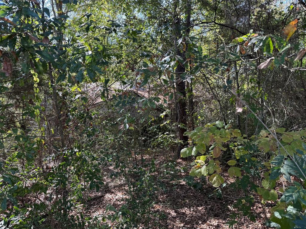 Tbd E Us Highway 80 Property Photo 7
