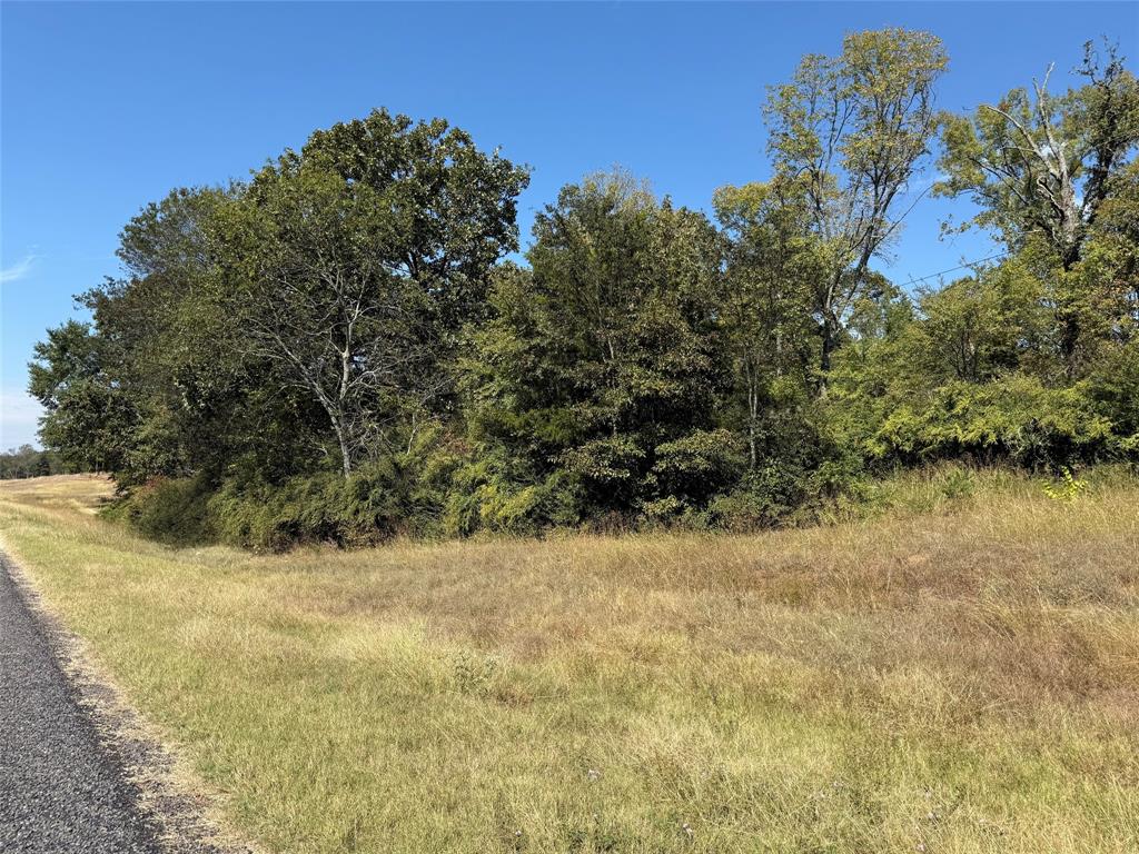 Tbd E Highway 80 Property Photo 2