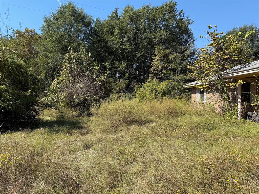 Tbd E Highway 80 Property Photo 5