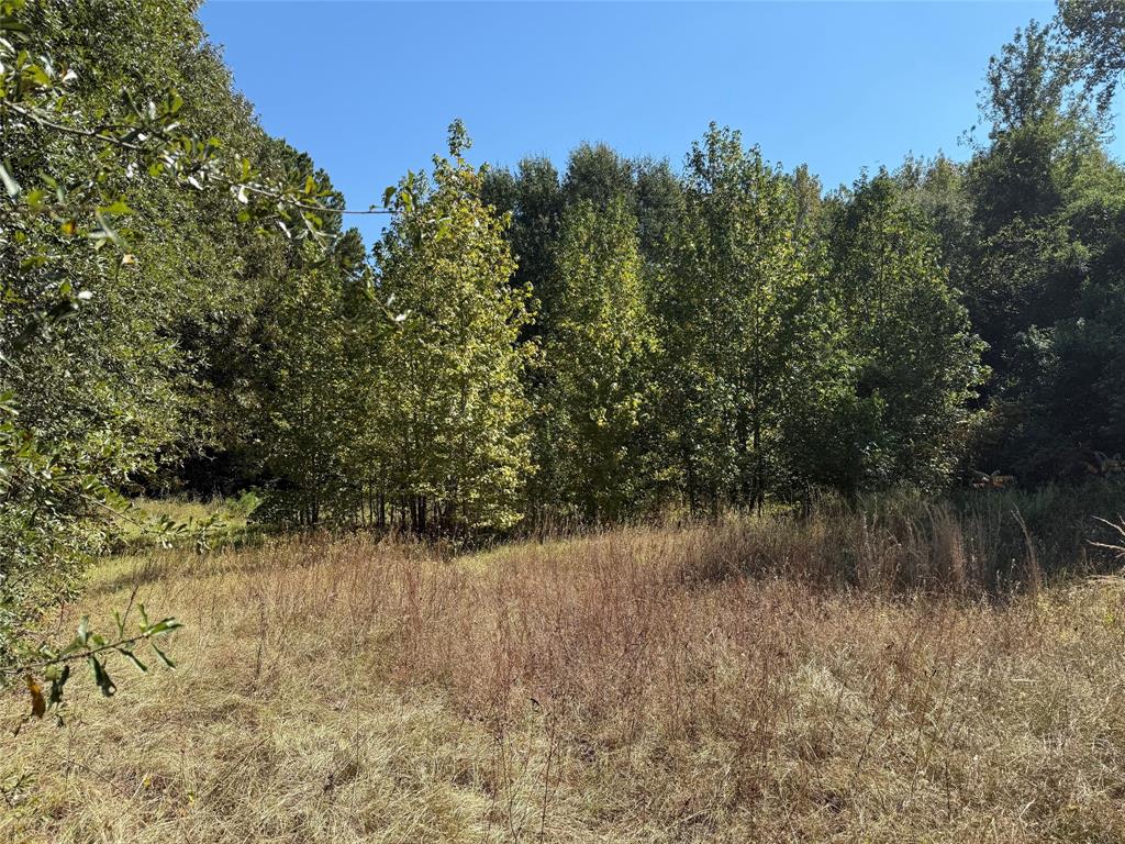 Tbd E Highway 80 Property Photo 7