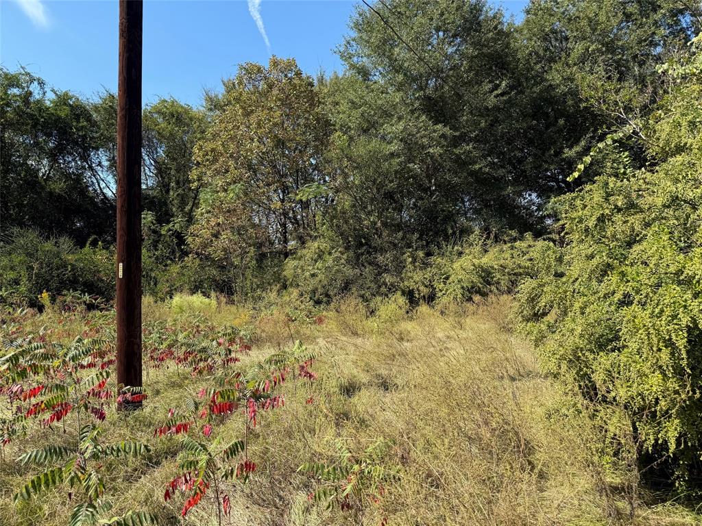 Tbd E Highway 80 Property Photo 8
