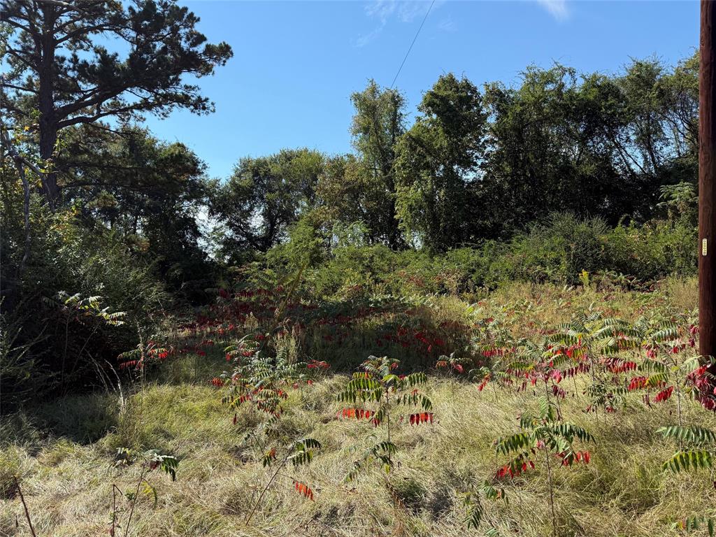 Tbd E Highway 80 Property Photo 9